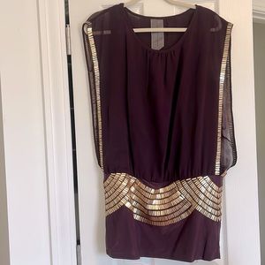 Burgundy/Purple dress, sheer overlay on top, stretch band skirt,gold accents